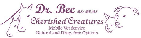 Cherished Creatures - VETS Brisbane 0