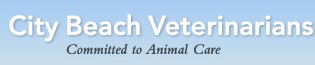 City Beach Veterinarians - VETS Brisbane 0