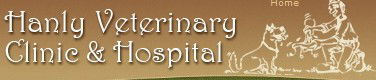 Hanly Veterinary Clinic & Hospital - VETS Brisbane 0