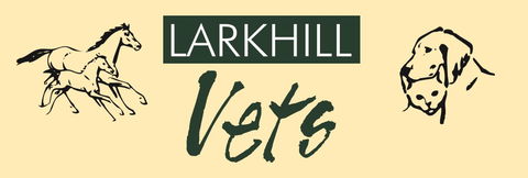Larkhill Vets - VETS Brisbane 0