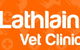 Lathlain Veterinary Clinic - thumb 0