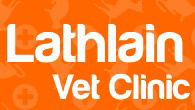 Lathlain Veterinary Clinic - VETS Brisbane 0