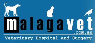 Malaga WA VETS Brisbane