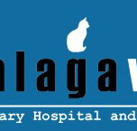 Malaga Veterinary Hospital - VETS Brisbane