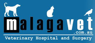 Malaga Veterinary Hospital - VETS Brisbane 0