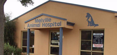 Melville Animal Hospital - VETS Brisbane 0