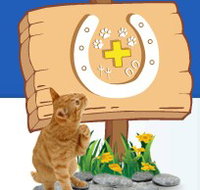 Midland Vet Hospital - VETS Brisbane