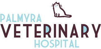 Palmyra Veterinary Hospital - VETS Brisbane 0