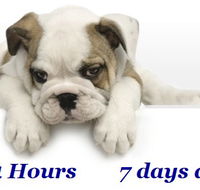 Animal Ambulance - VETS Brisbane