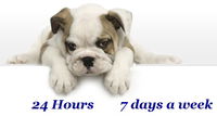 Book Gold Coast Accommodation Vacations VETS Brisbane VETS Brisbane