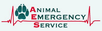 Carrara QLD VETS Brisbane