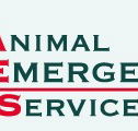 Animal Emergency Service - VETS Brisbane