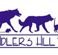 Chandlers Hill Vet - VETS Brisbane