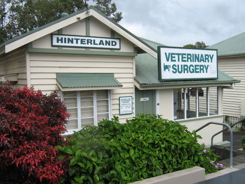 Hinterland Veterinary Surgery - VETS Brisbane 0