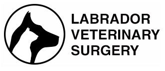 Labrador QLD VETS Brisbane