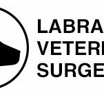 Labrador Veterinary Surgery - VETS Brisbane
