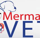 Mermaid Waters Veterinary Surgery - VETS Brisbane