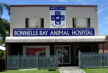Bonnells Bay Animal Hospital - VETS Brisbane 0