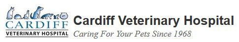 Cameron Park NSW VETS Brisbane