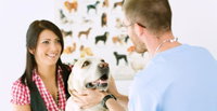 All Creatures Veterinary Centre
