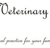 Brudine Veterinary Hospital - VETS Brisbane