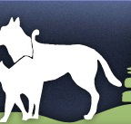 Gungahlin Veterinary Hospital - VETS Brisbane