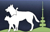 Gungahlin Veterinary Hospital - VETS Brisbane 0