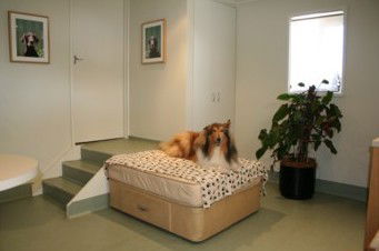 Coombs ACT VETS Brisbane