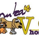 Manuka Veterinary Hospital - VETS Brisbane