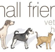 Small Friends Veterinary Hospital - VETS Brisbane