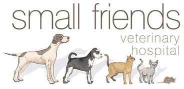 Small Friends Veterinary Hospital - VETS Brisbane 0