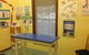 Abbotsbury Veterinary Clinic - thumb 1