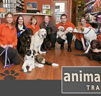 Animal Tracks Veterinary Clinic - VETS Brisbane