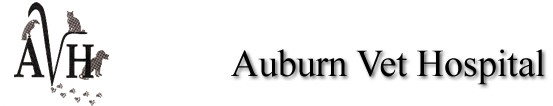 Auburn NSW VETS Brisbane