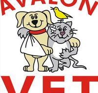 Avalon Veterinary Hospital - VETS Brisbane