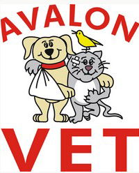 Avalon Veterinary Hospital - VETS Brisbane 0