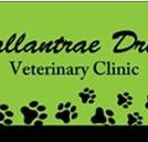 Ballantrae Drive Veterinary Clinic - VETS Brisbane