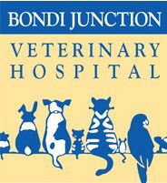 Bondi Junction Veterinary Hospital - VETS Brisbane 0