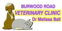 Burwood Road Vet Clinic - VETS Brisbane 0