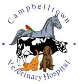 Campbelltown Veterinary Hospital - VETS Brisbane 0