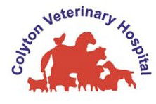 Colyton Veterinary Hospital - VETS Brisbane 0