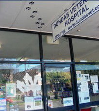 Dundas Veterinary Clinic - VETS Brisbane 0