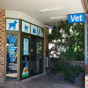 Elanora Veterinary Clinic - VETS Brisbane 0