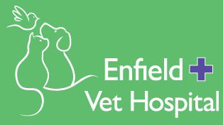 Enfield Veterinary Hospital - VETS Brisbane 0
