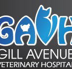 Gill Avenue Veterinary Hospital - VETS Brisbane