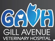 Gill Avenue Veterinary Hospital - VETS Brisbane 0