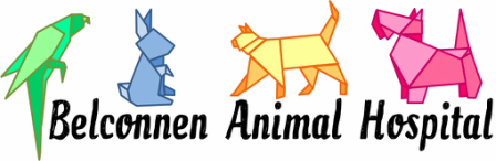 Belconnen Animal Hospital - VETS Brisbane 1