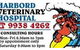 Harbord Veterinary Hospital - thumb 0