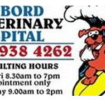 Harbord Veterinary Hospital - VETS Brisbane