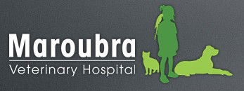 Pagewood NSW VETS Brisbane